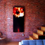 Instar #16 in private collection. Instar #16 in private collection.