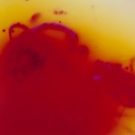 Darkmatter #8