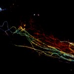 Darkmatter #12
