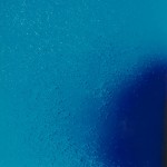 "fuck" (Eluvium #11)