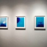_MG_5911 copy