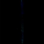 instar #15 66"x20" instar #15 66"x20"