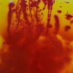 instar #26 24"x20" instar #26 24"x20"